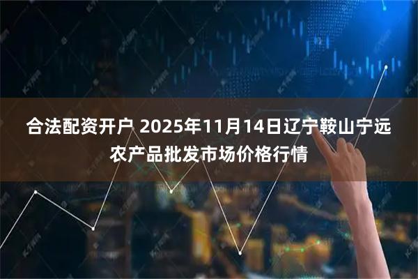 合法配资开户 2025年11月14日辽宁鞍山宁远农产品批发市场价格行情