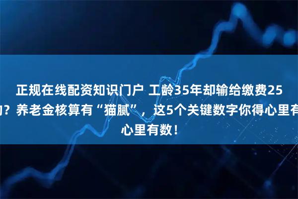 正规在线配资知识门户 工龄35年却输给缴费25年的？养老金核算有“猫腻”，这5个关键数字你得心里有数！
